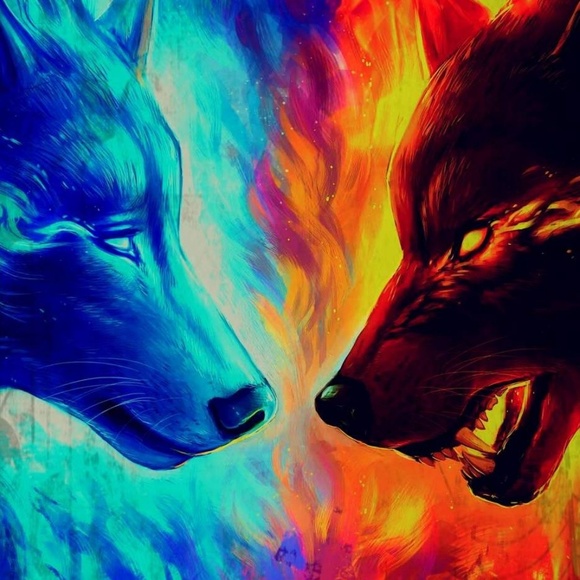 Meet your Posher, Victor - Picture 1 of 1